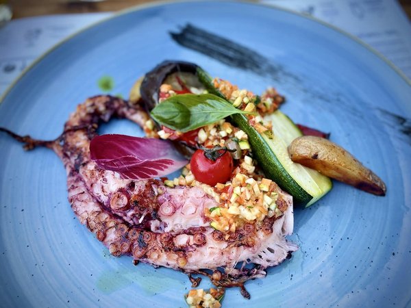 Comment bien choisir une plancha à gaz pour une cuisson uniforme et rapide?